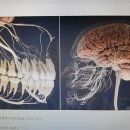 질병의 근원은 무엇인가? 이미지
