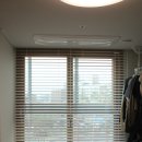 화이트벨리 이미지