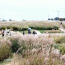 하늘공원 이미지