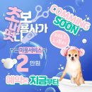 안다 동물보호소 이미지