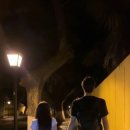 26290-20-08-009 | 170cm 이상은 보지마라.. 느좋 키작남 코디 5가지 추천해줄게요!