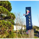 신평동1143 이미지