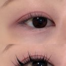 진해구 ⓒ-22 | 중안부 축소 메이크업 필수템, 컬러그램 X 위글위글 음영 창조 밑트임 애교살 라이너 추천