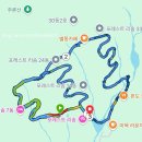 나인퍼플 | [충북/제천] 202507 포레스트 리솜 산책로 및 ‘해브나인 스파’ 후기