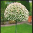 등불농장 이미지