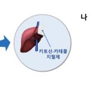 (주)이노사이언스