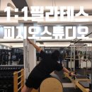 필라테스(근력운동/야간) | 이천필라테스 피지오 스튜디오 3,4회차 후기, 재활과 근력운동을 동시에!!