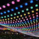 초읍동-24 이미지