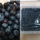 순덕농장 이미지