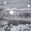 관광농원낚시터 이미지