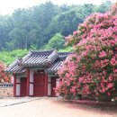 충곡서원,장전교회,돈암서원,연산향교,명제고택,유봉영당,종학당. 이미지