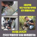 서원동-60 이미지