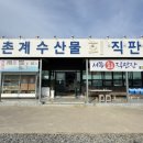 금모래횟집