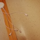 돌산 노블호텔 이미지