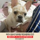 덕인초등학교 이미지