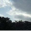 구룡산정상 이미지