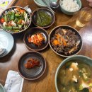 여름방학 특집! 금쪼기의 슬기로운 휴가생활