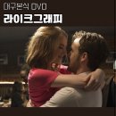 대구 본식 DVD 추천 뮤직비디오 감성 라이크 그래피 계약 후기