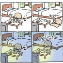 (주)노박건강나라 | [유산 후 몸조리] 소파술 후기 / 7주 계류유산 / 임신 준비 / 재임신 성공