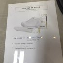 알스텝 | 서울 맞춤신발 알스텝 내돈내산 검사 후기