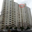 하단동1175 이미지