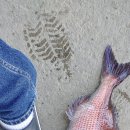 강화바다낚시터 이미지