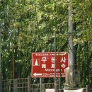 아담한 경남 밀양 사찰 무봉사, 부산 근교 드라이브 코스! 주차까지
