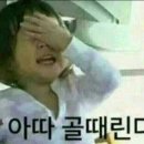 덤앤더머