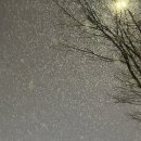 태림사우나 이미지