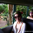 알리투어 이미지