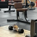 머슬팩토리24진주혁신 | 머슬 팩토리 진주혁신점 승훈쌤 PT 후기 하체 수업 편🔥🏋️
