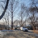 화천포레스트 | 포레스트 구봉 분위기 좋은 감성 펜션 숙소 후기