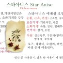 스타 아니스 이미지