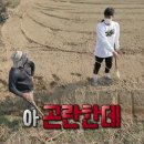 복숭아아저씨 이미지