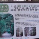 아르코스파펜션 이미지
