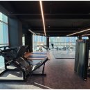 드래곤 H 짐 이미지