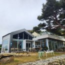 늘,파인 이미지