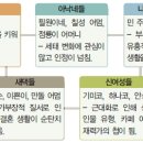 (주)사람과풍경