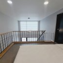 플레이독애견풀빌라 이미지