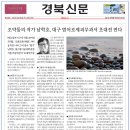 나비피부과의원 이미지