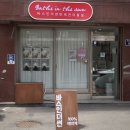 PUPPYSUN/퍼피썬 애견미용실 | [비숑 강아지 미용] 위생 목욕 엉킴비 얼굴 정리 입질 비용 추가금 애견미용비 가격