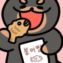 스튜디오밤 이미지