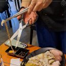 낙지엔닭갈비