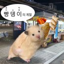 부천하나이비인후과의원 네이버블로그