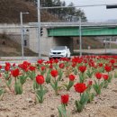 레인보우힐링관광지 이미지