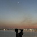 숲실의 집 이미지