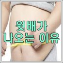 윗배가 나오는 이유 이미지