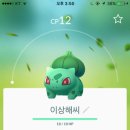 포항동빈나루게스트하우스 이미지