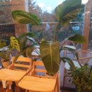 지리산오도재관광농원 이미지