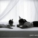 바이준사진관